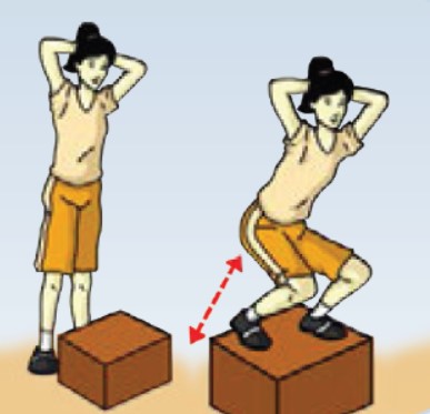 Posisi badan yang benar saat melakukan naik turun bangku untuk latihan kekuatan otot kaki adalah