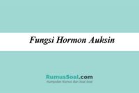 Fungsi-Hormon-Auksin