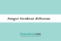 Fungsi-Struktur-Ribosom