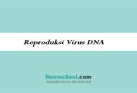 Reproduksi-Virus-DNA