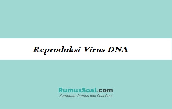 Reproduksi-Virus-DNA