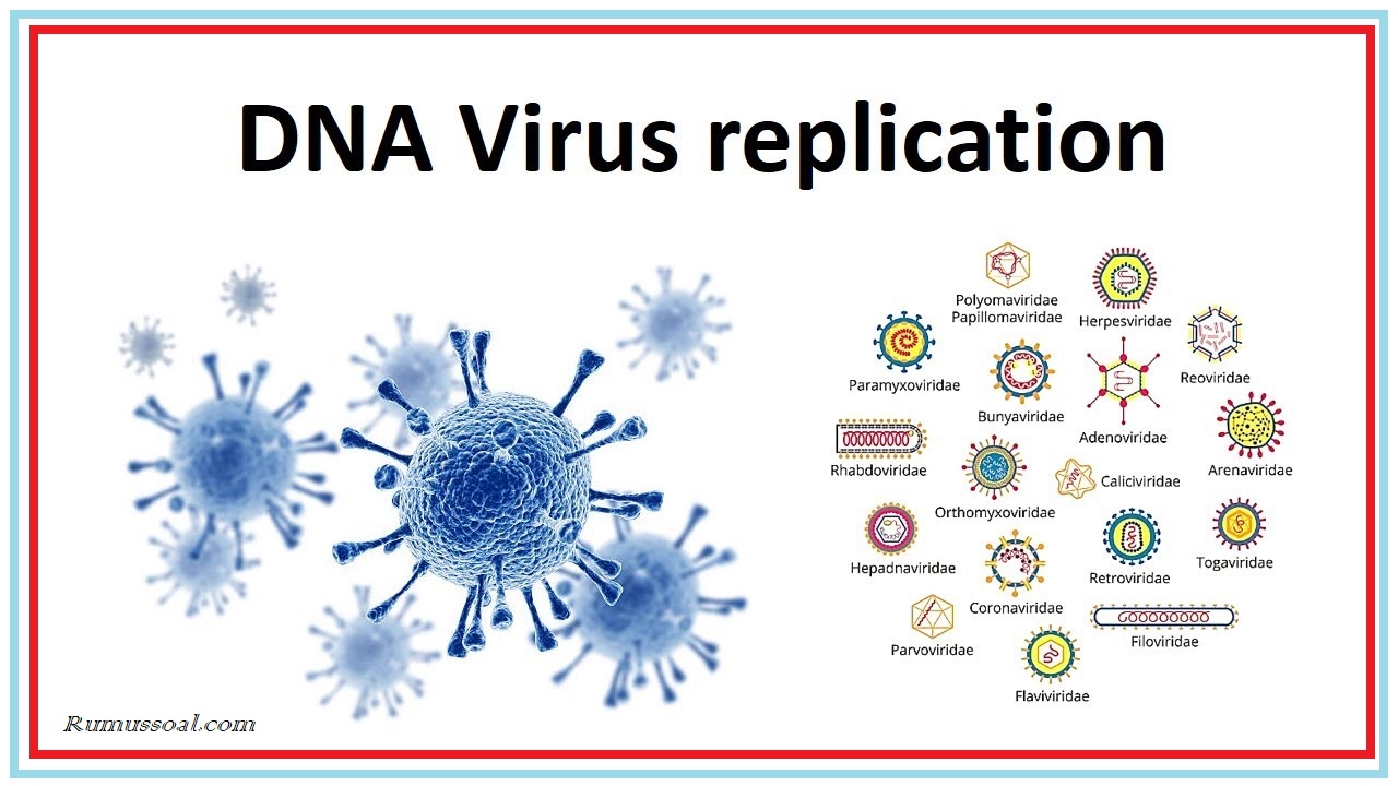 Virus-DNA