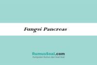 Fungsi-Pancreas