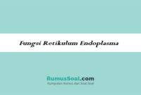Fungsi-Retikulum-Endoplasma