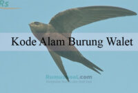 Kode Alam Burung Walet