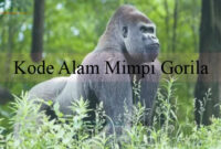 Kode Alam Mimpi Gorila