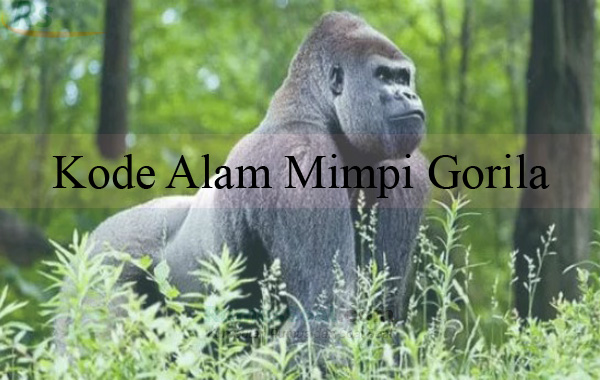 Kode Alam Mimpi Gorila