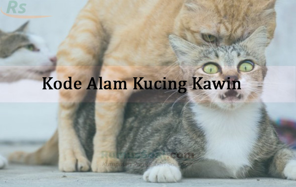 Kucing 4d kode alam angka Kode Alam: