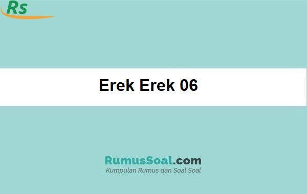 Erek Erek 06