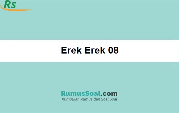 Erek Erek 08