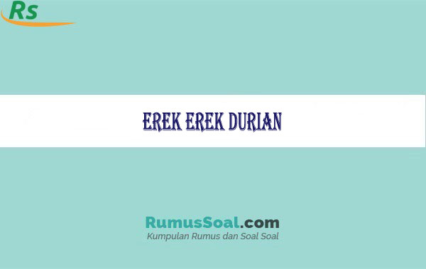 Erek Erek Durian